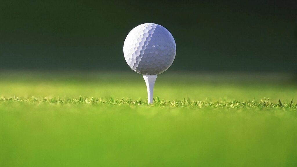 Sarah Schmelzel has first-round lead at LPGA Singapore stop