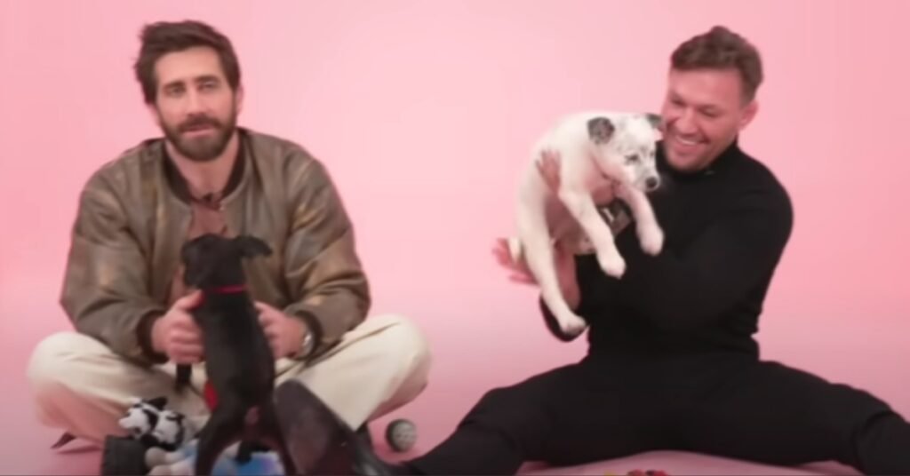 Conor McGregor And Jake Gyllenhaal Arm Wrestle In A Pink Room With Puppies Ahead Of Road House Premiere On March 21