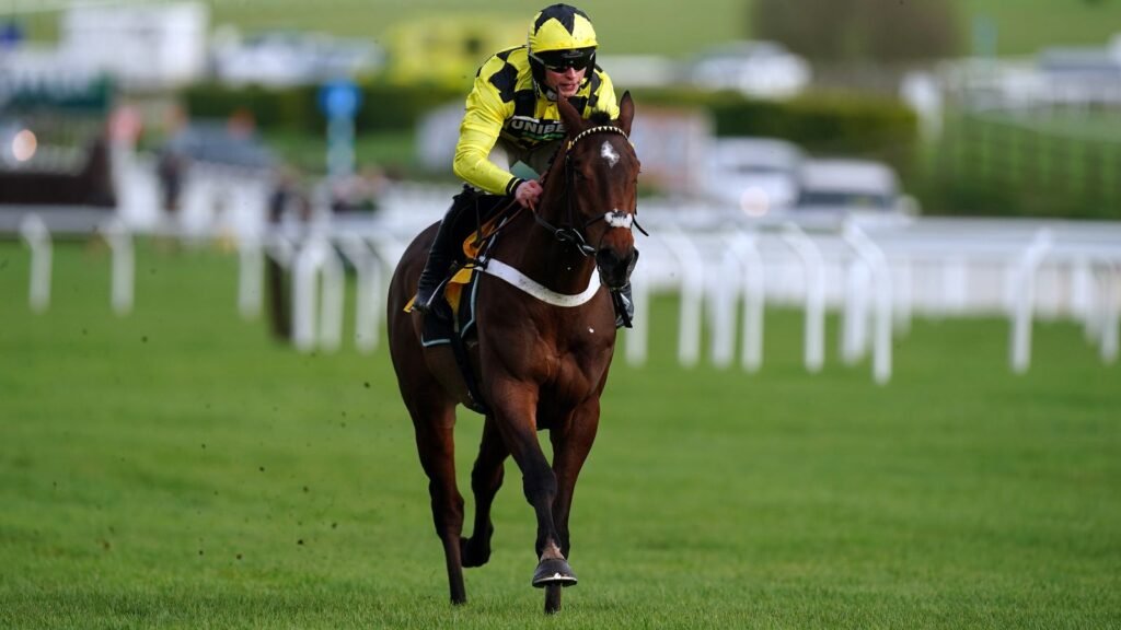 Cheltenham Festival: Another Nicky Henderson star ruled out as Sir Gino a Triumph Hurdle non-runner | Racing News